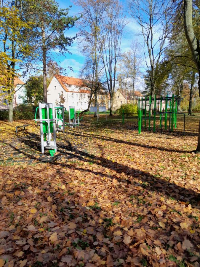 Apartment Riegerovka Cheb Esterno foto