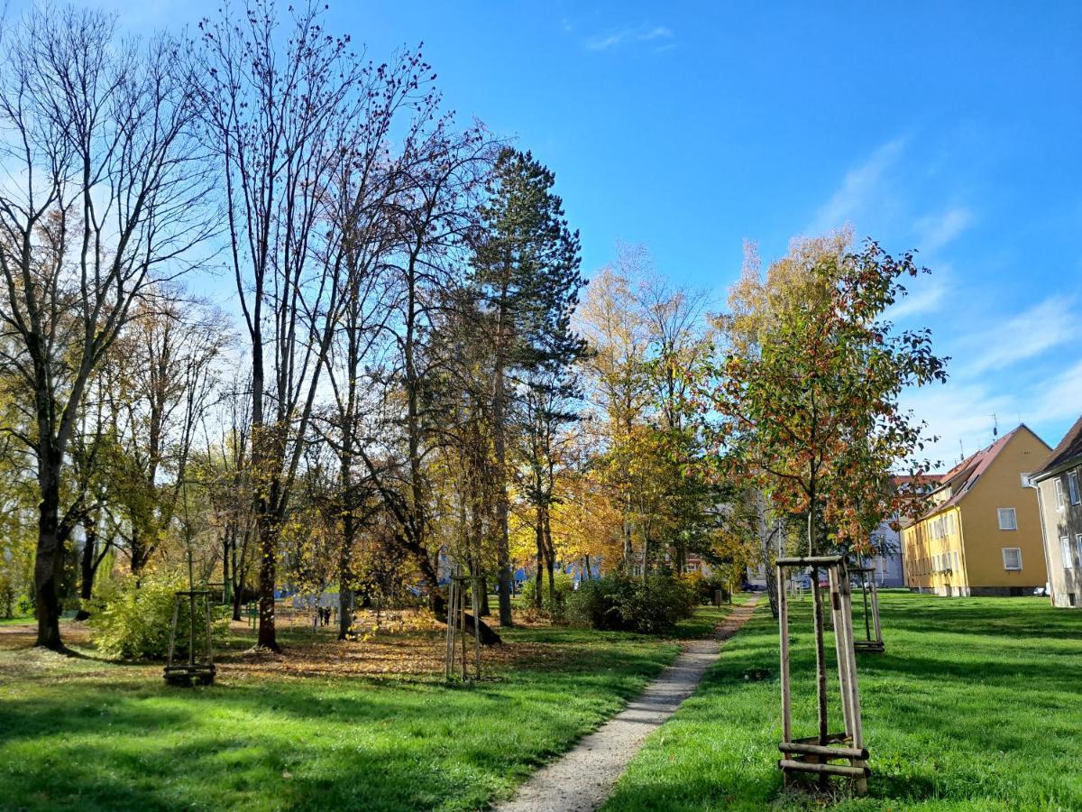 Apartment Riegerovka Cheb Esterno foto