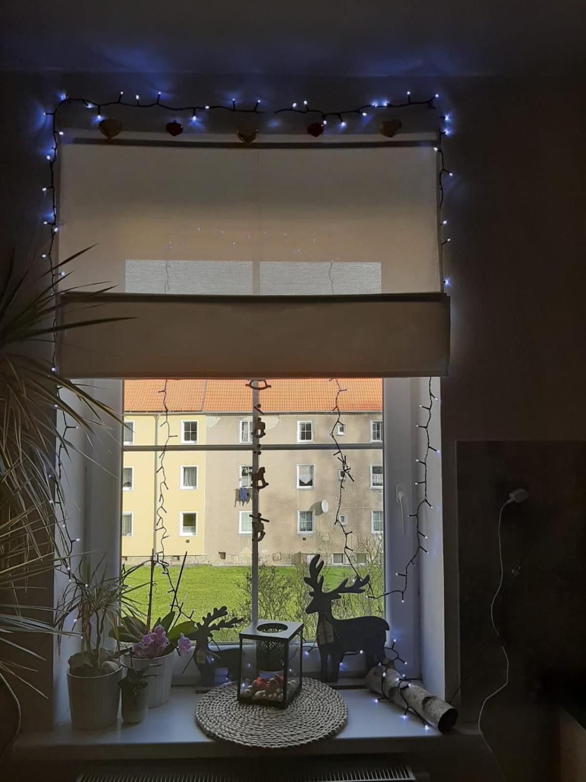Apartment Riegerovka Cheb Esterno foto
